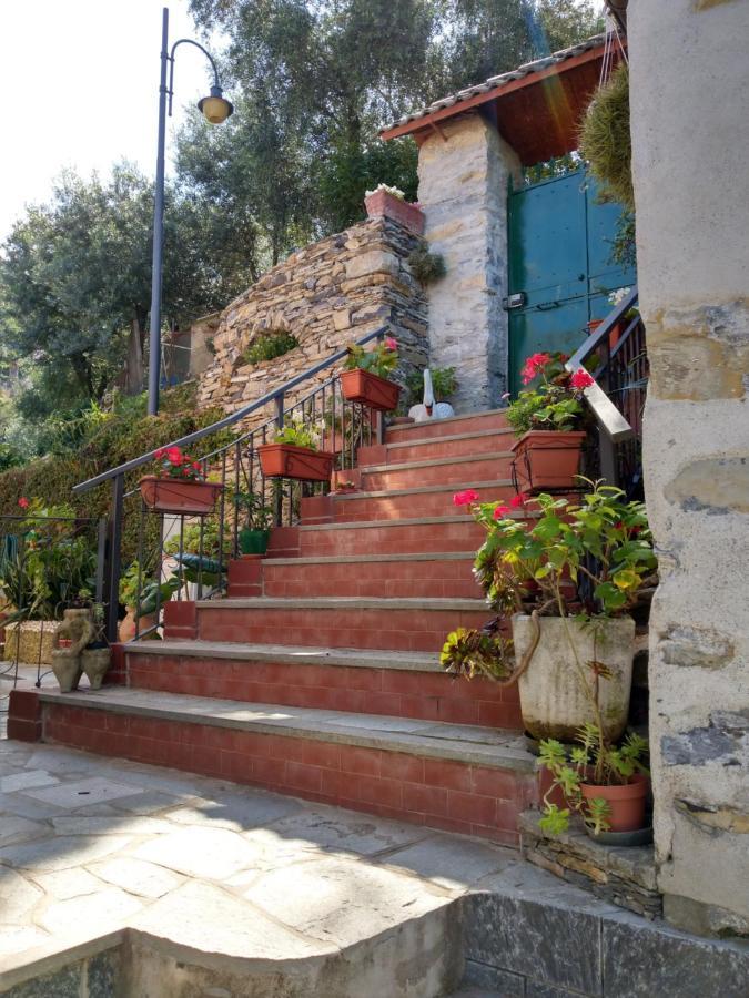 Villino Brunetto Azienda Agrituristica Camogli Exterior photo